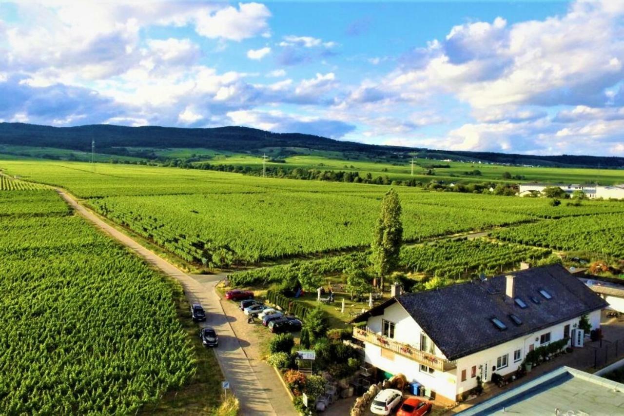 Ferienzimmer Weingut Mack Oestrich-Winkel Exterior foto